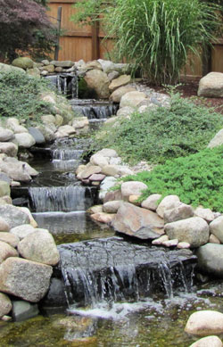 Backyard garden oasis with waterfall